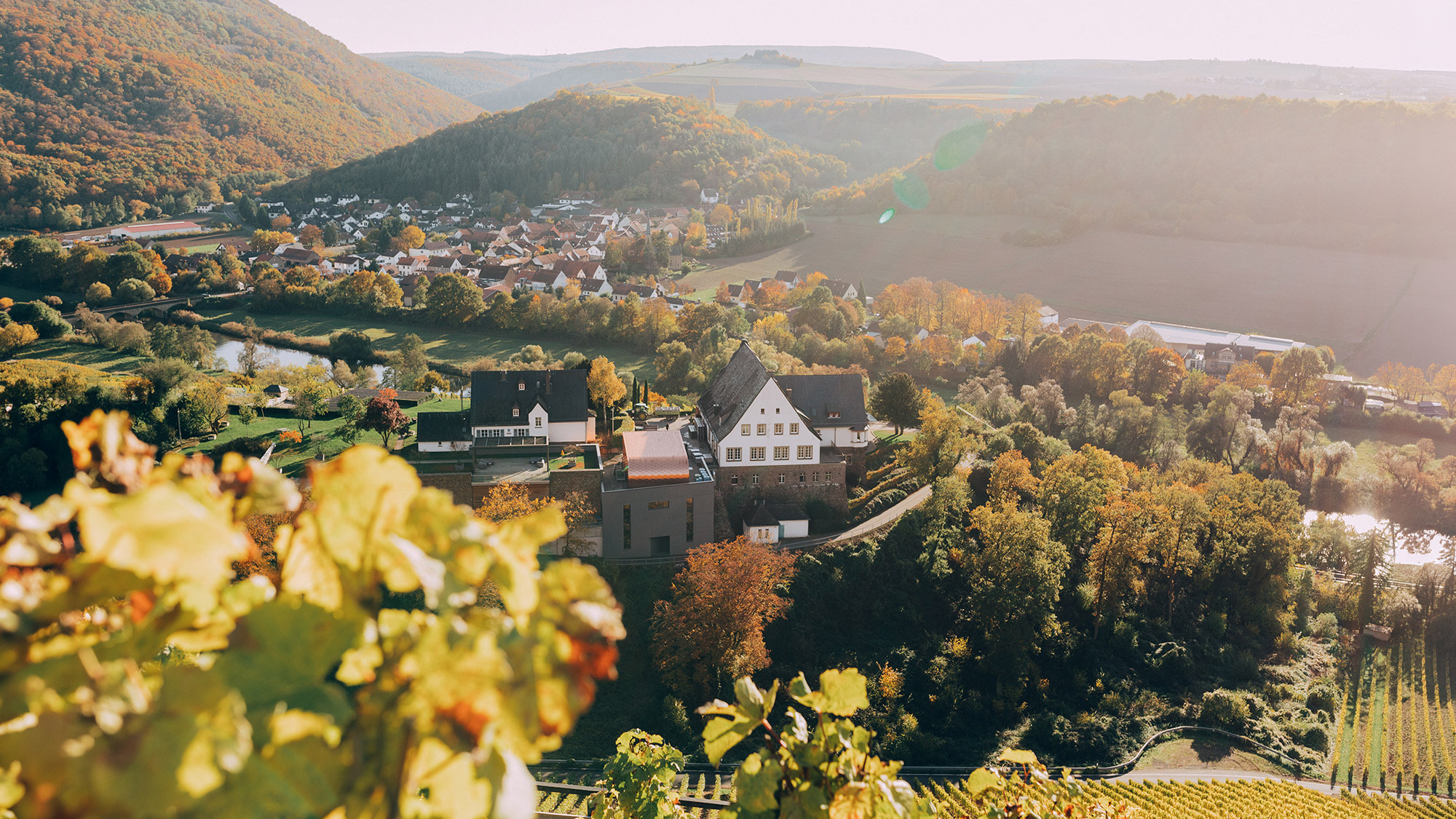 Die Nahe prägt den Charakter der Weine
