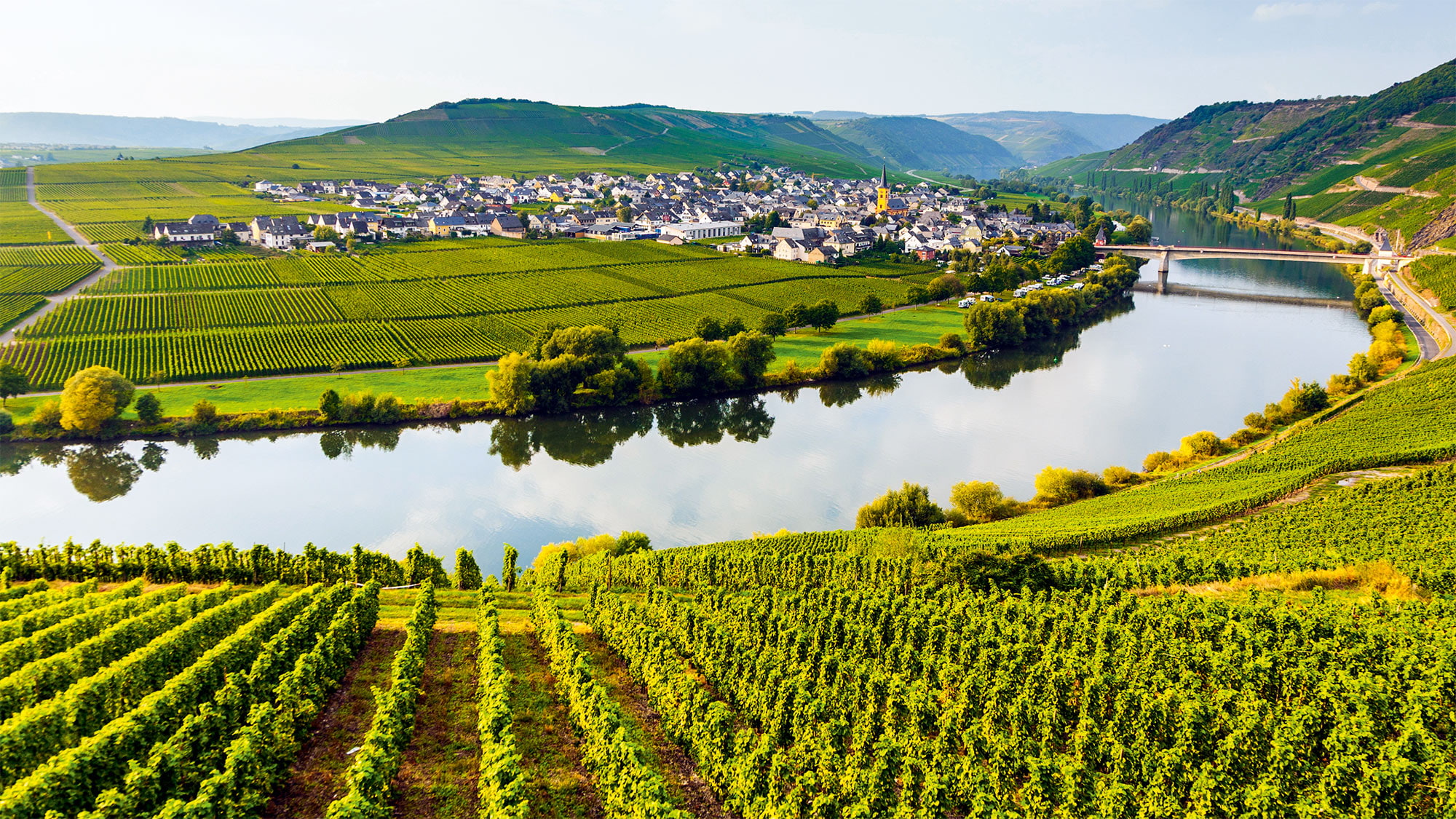 La boucle de la Moselle et la viticulture