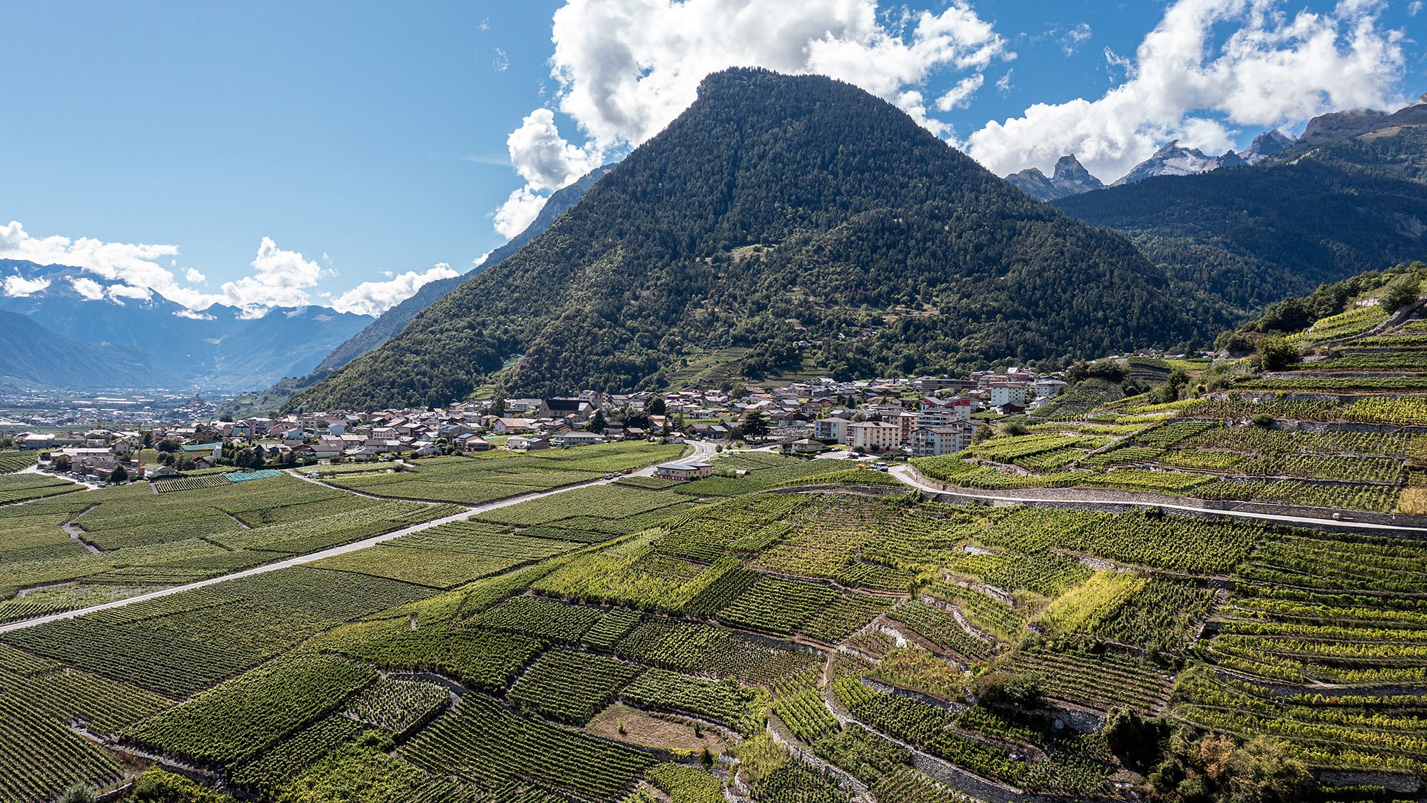 Le point de départ de grands vins