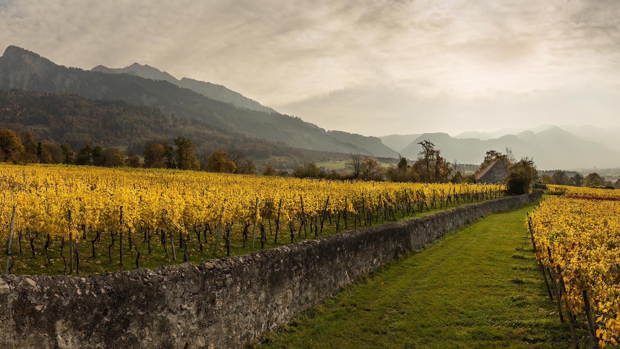 Graubünden als Wein-Highlight