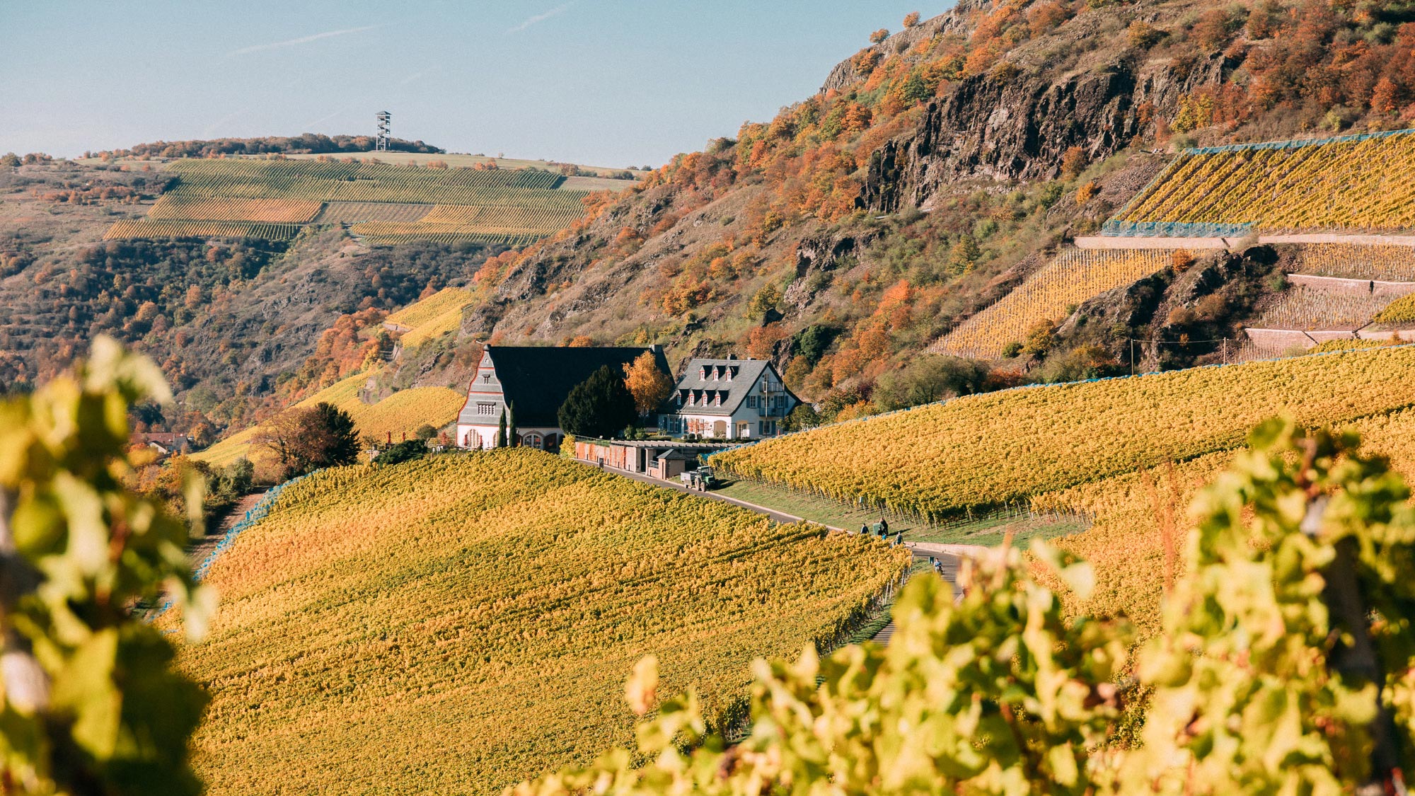 Das malerische Weingut