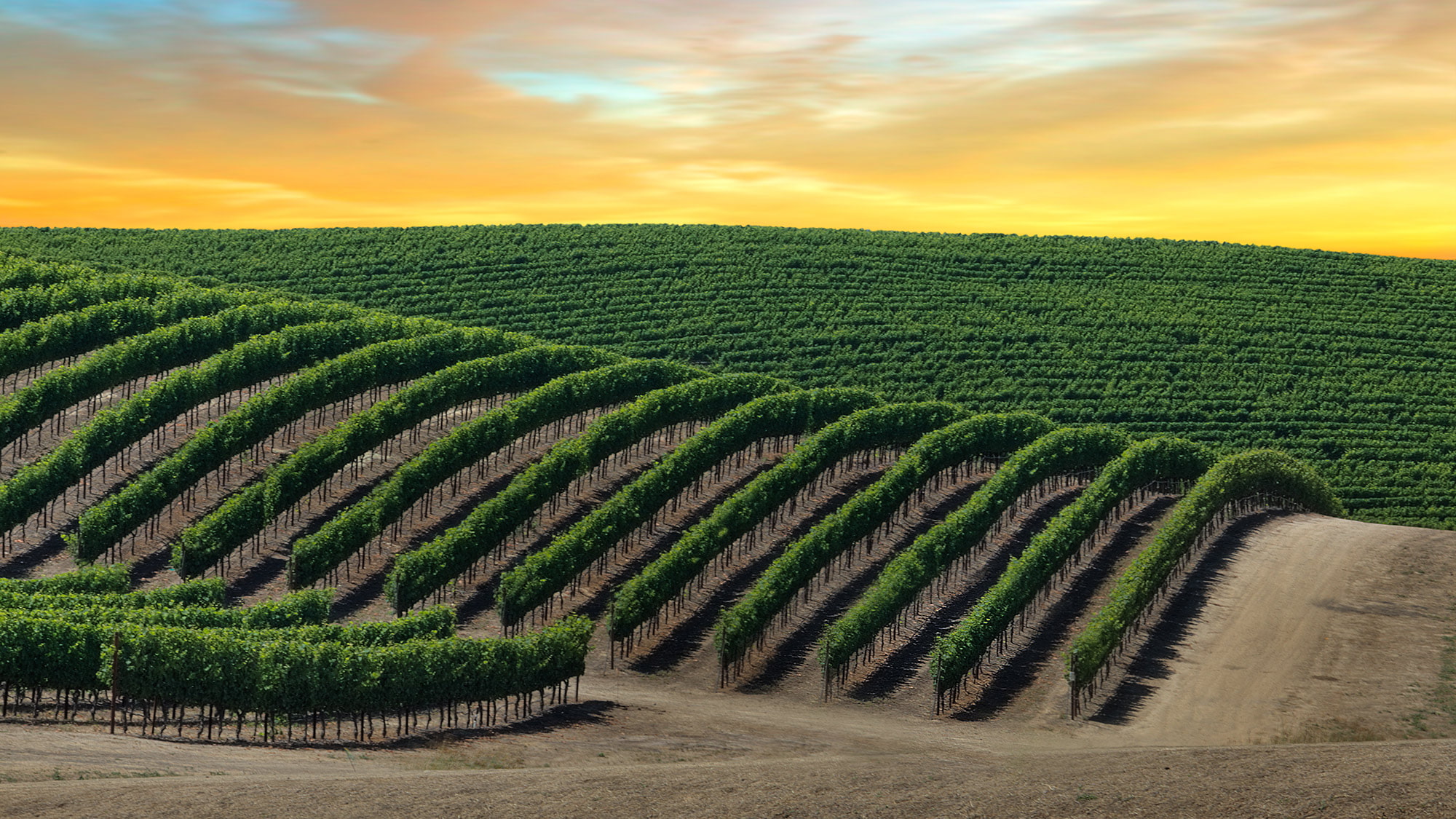 La Napa Valley dans toute sa splendeur