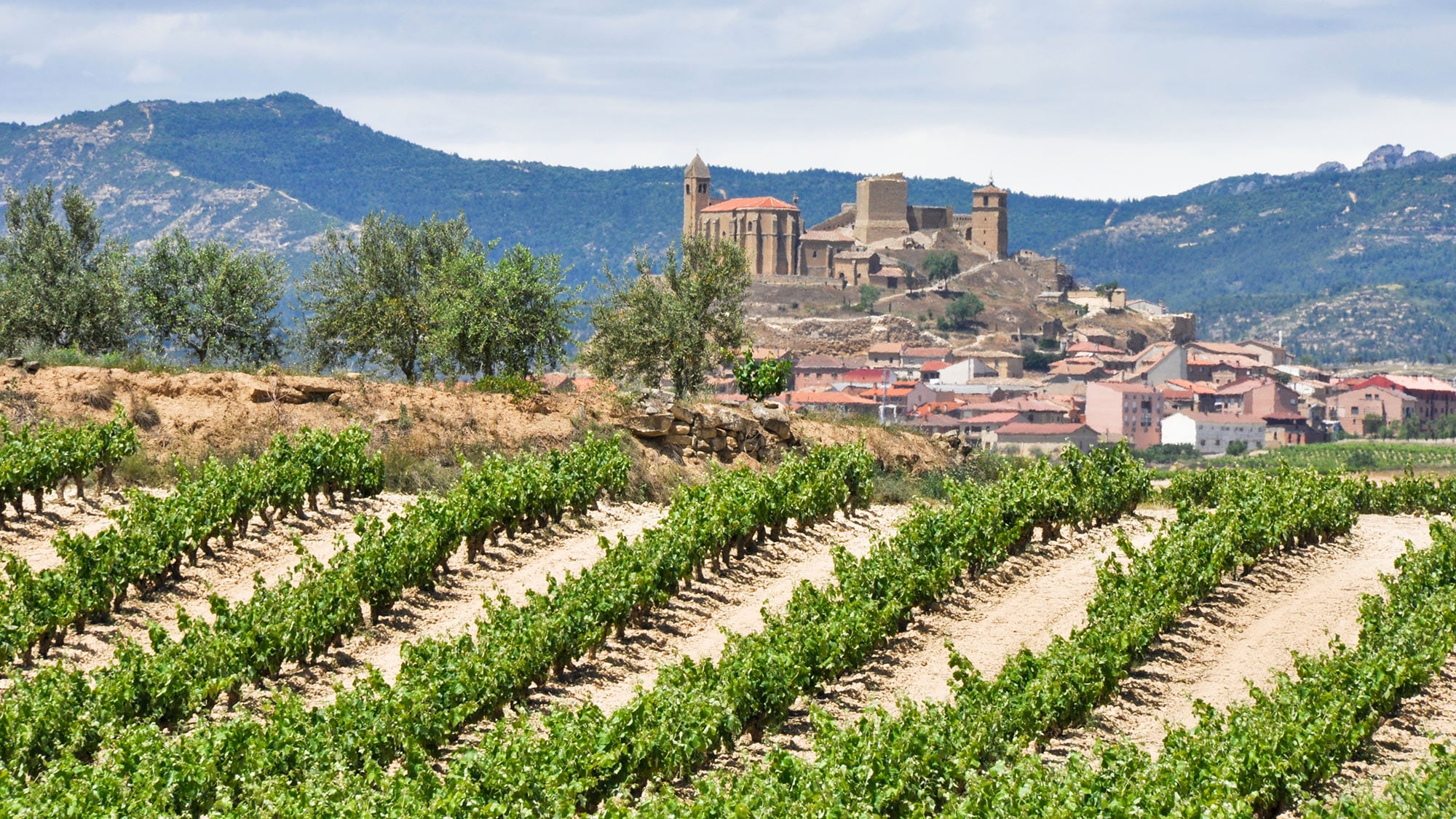 La viticulture d\'excellence dans la Rioja