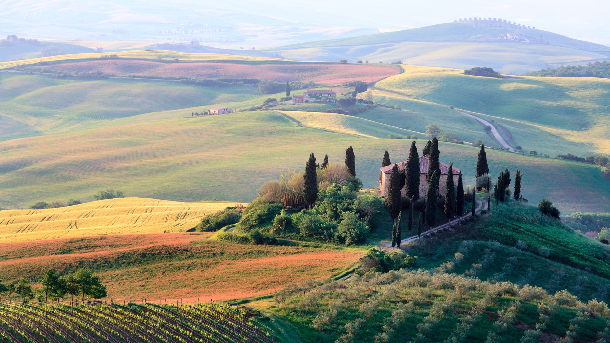 Paysage vallonné en Toscane