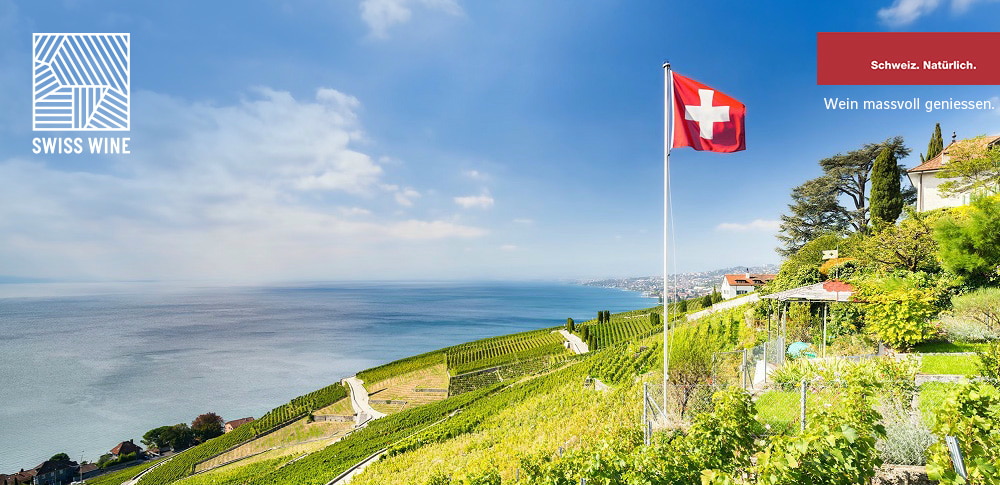 Schweiz, Lavaux, Wein