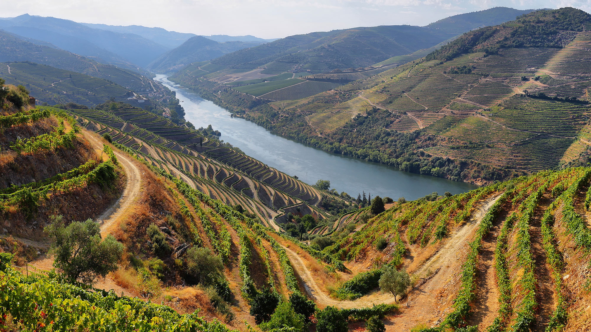 Le Douro est au cœur de la viticulture portugaise