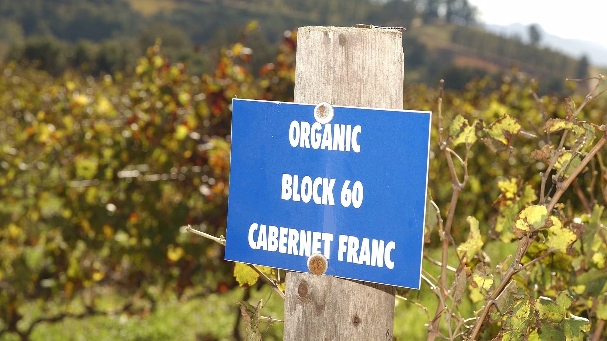 Terroir, Vin bio, Viticulture biologique, Viticulture biodynamique, Écosystème