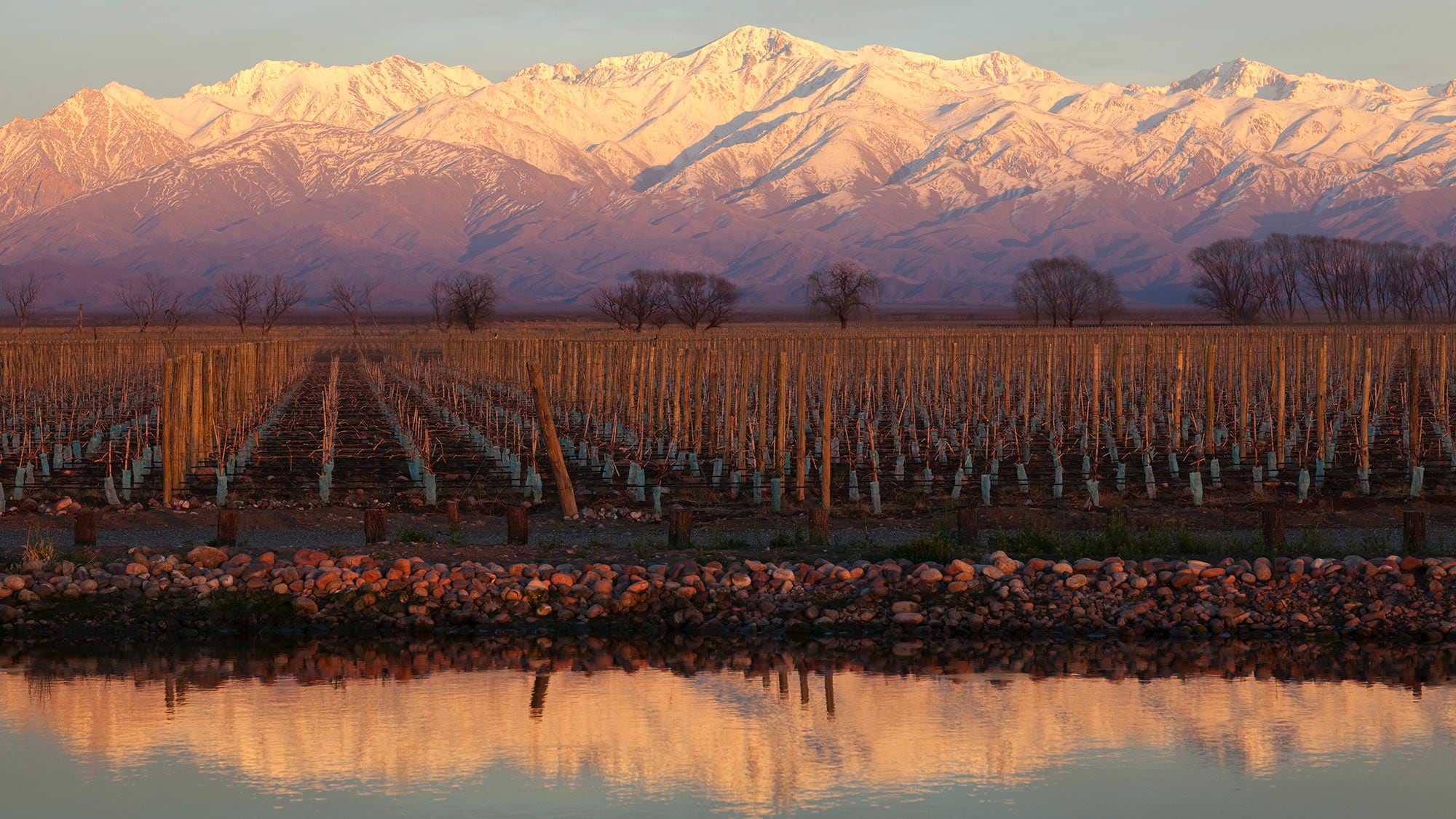 Hochlagenterroir in Argentinien