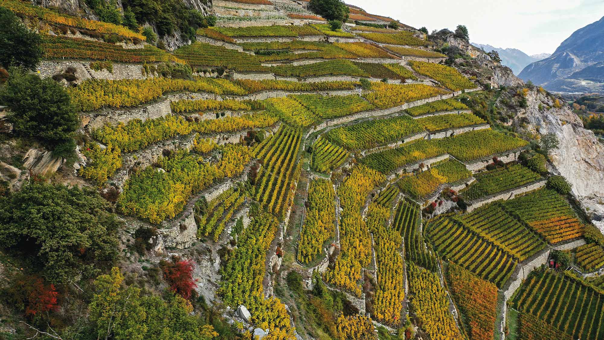 Steillagen Weinberg im Wallis