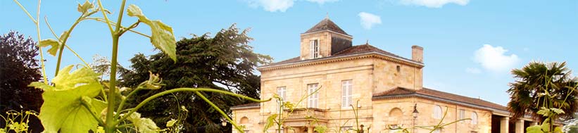 Château Montrose Château Montrose