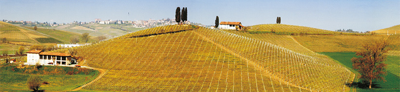 Michele Chiarlo s.r.l. Azienda Vitivinicola Michele Chiarlo