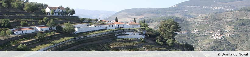 Quinta do Noval Quinta do Noval