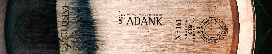 Hansruedi Adank