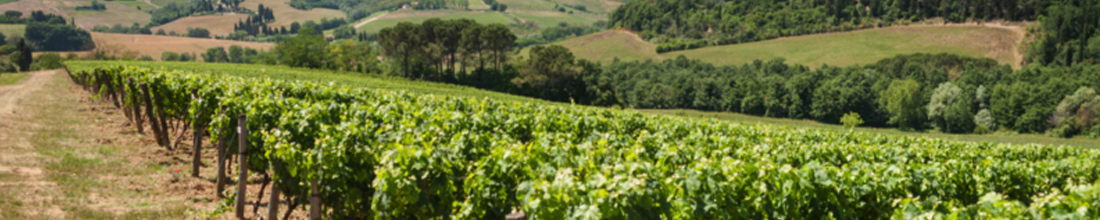 Marchesi de' Frescobaldi Società Agricola s.r.l. Frescobaldi