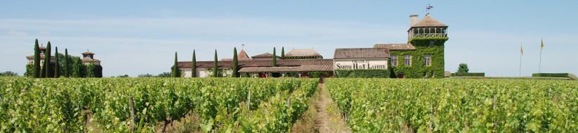 Château Smith Haut Lafitte, SAS D.Cathiard Château Smith Haut Lafitte