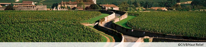 Château Canon Château Canon