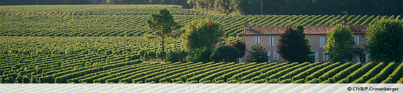 Domaines Clarence Dillon SA Château Haut Brion Château Haut Brion