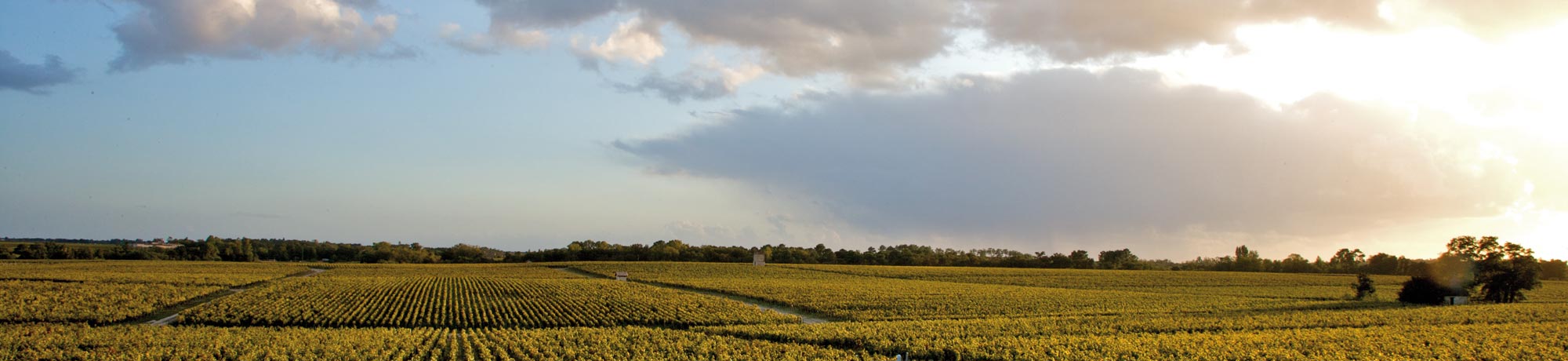 Château Pontet Canet Château Pontet Canet