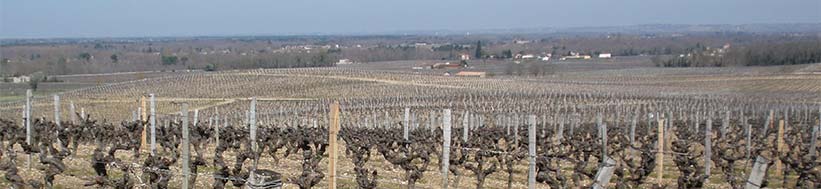 Château Rayne Vigneau Château Rayne Vigneau