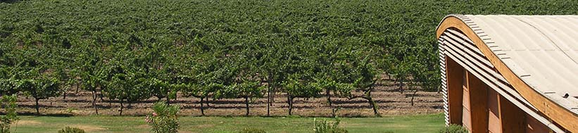 Almaviva Almaviva