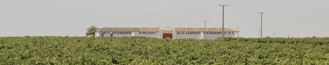 Alejandro Fernández Tinto Pesquera SL Familia Fernández Rivera