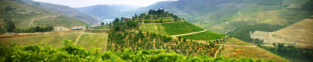 Quinta do Vale Meão Quinta do Vale Meão