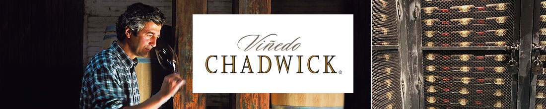 Vinedos Familia Chadwick SpA Viñedo Chadwick