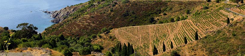 Clos Mogador Clos Mogador