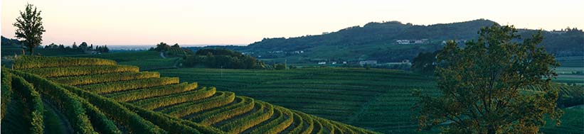 Attems Attems-Frescobaldi