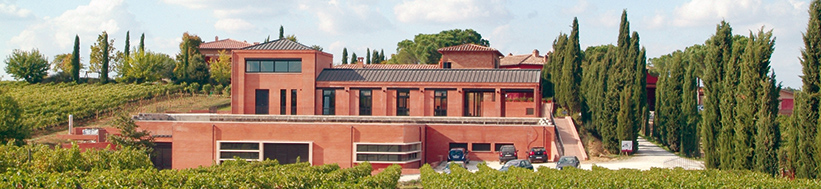 Poliziano Poliziano