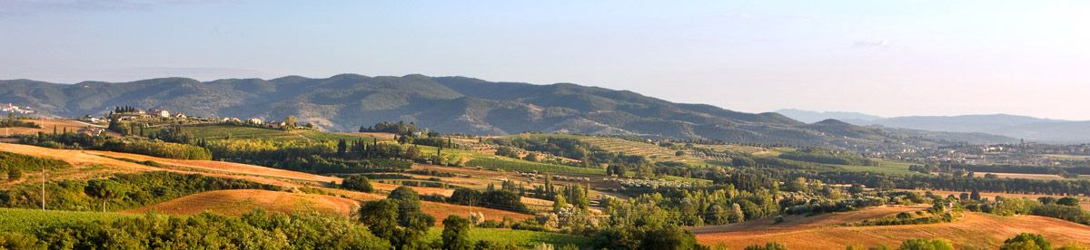 Lungarotti Società Agricola A.R.L. Lungarotti