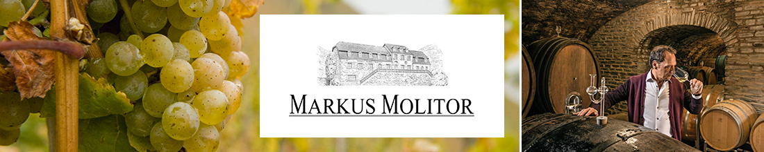 Weingut Markus Molitor Molitor