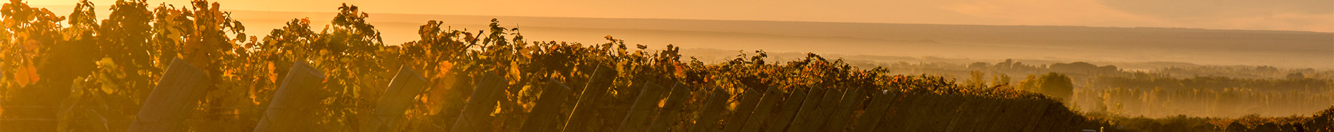 Clos de los Siete Clos de los Siete