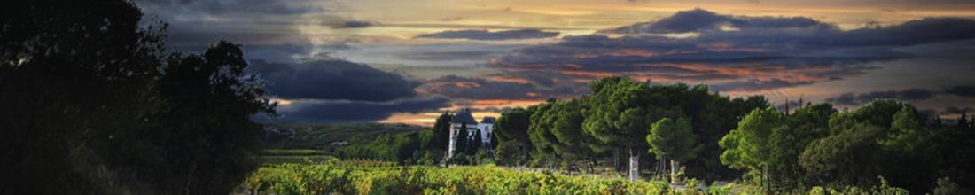 Château de la Négly Château de la Négly