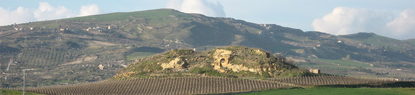 Morgante S.r.l.Società Agricola Morgante