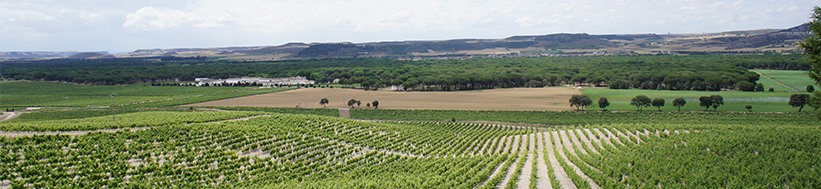 Bodegas Hacienda Monasterio Hacienda Monasterio