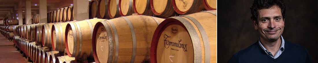 Bodegas Penalba Lopez Torremilanos