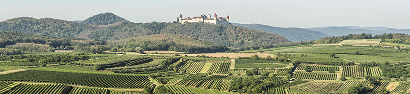 Weingut Stift Göttweig GmbH Stift Göttweig