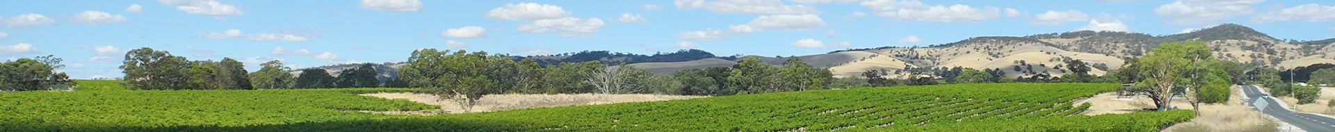 Penfolds Penfolds