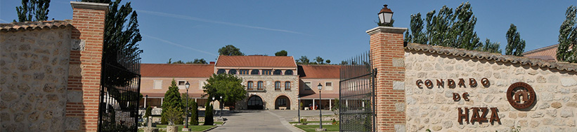 Condado de Haza-Familia Fernández Rivera Condado de Haza-Familia Fernández Rivera