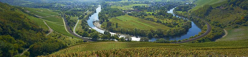 Weingut Van Volxem Van Volxem