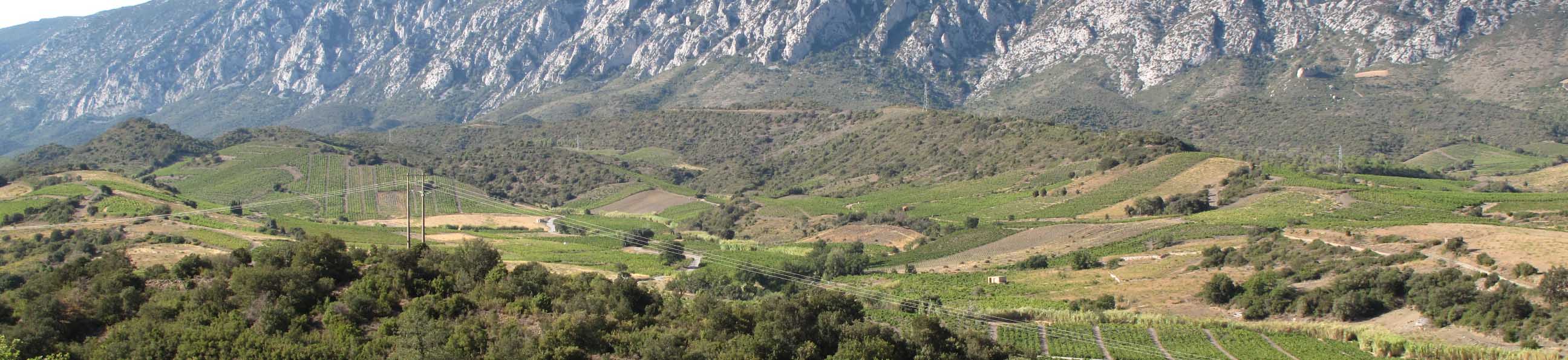 Domaine Calvet-Thunevin SARL Calvet-Thunevin