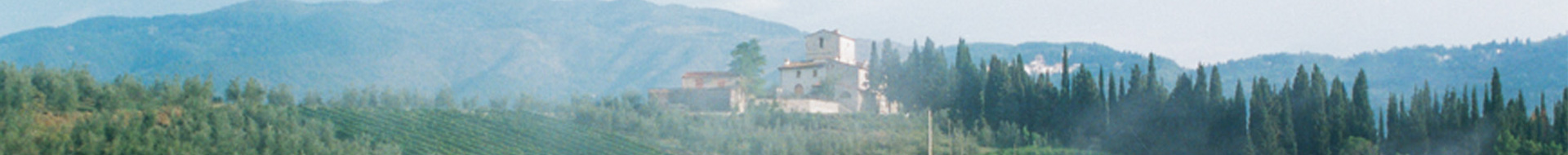 Fattoria di Basciano-Renzo Masi Fattoria di Basciano-Renzo Masi
