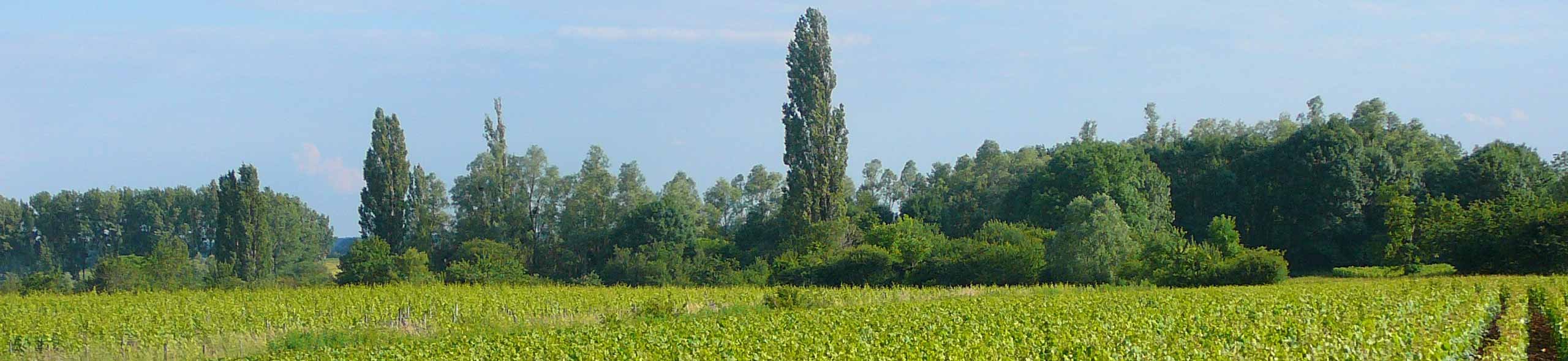 Domaine Poulleau Père & Fils Poulleau