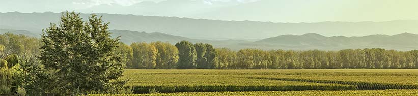 Alamos - The wines of Catena Alamos