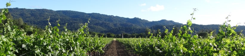 Venge Vineyards Venge