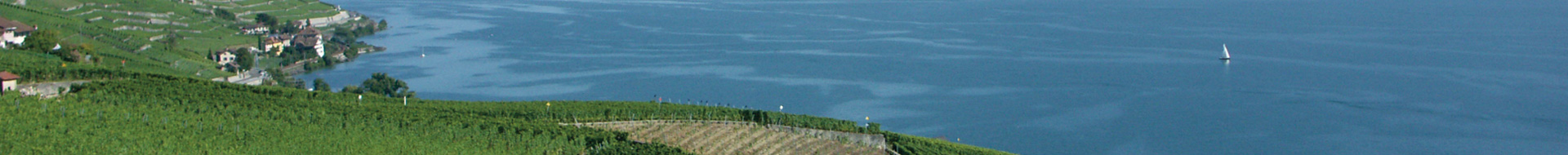 Domaine les Hutins Hutins