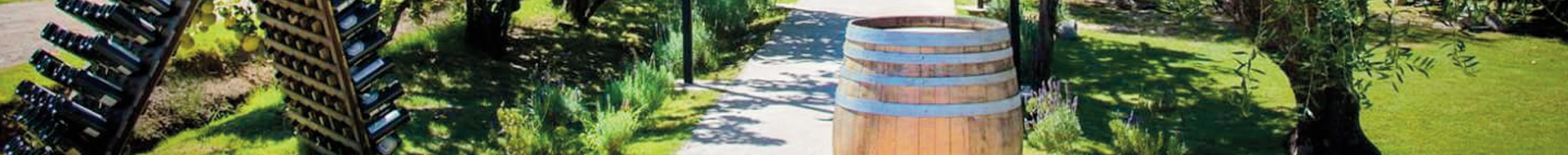Puerto Ancona - El Enemigo Wines Puerto Ancona - El Enemigo Wines