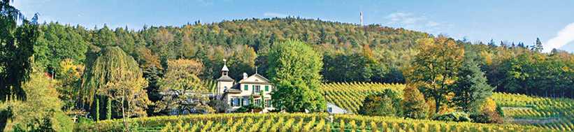 Weingut Kopp Kopp