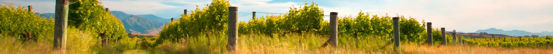 Hugh Hamilton Wines Hugh Hamilton